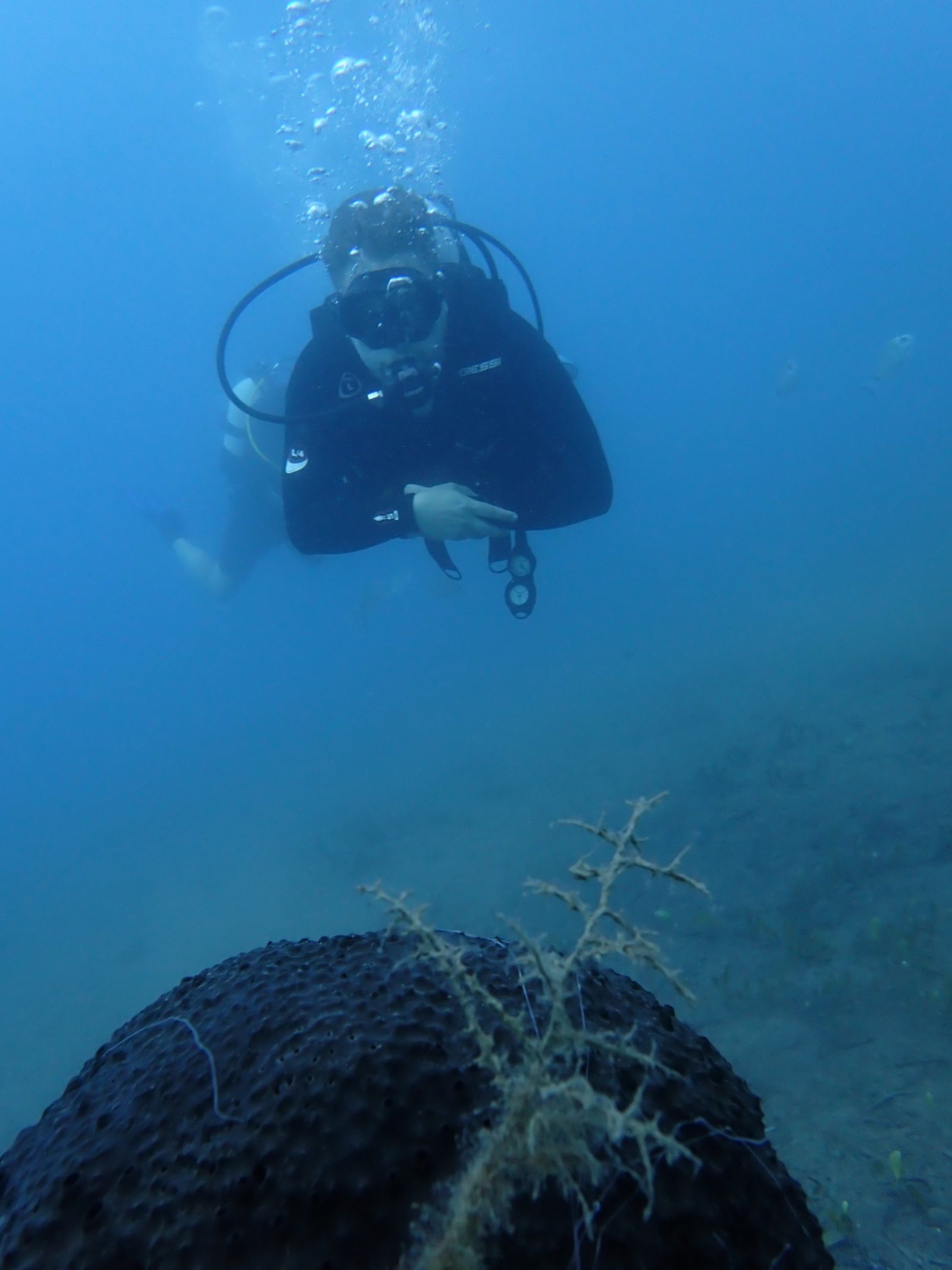 Underwater navigation with a compass off Kos